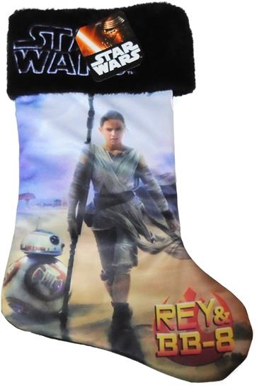 Rey and BB-8