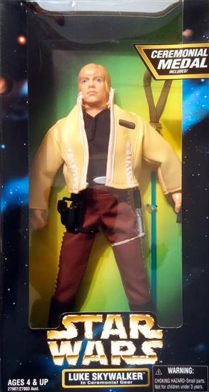 Luke Skywalker in Ceremonial Gear