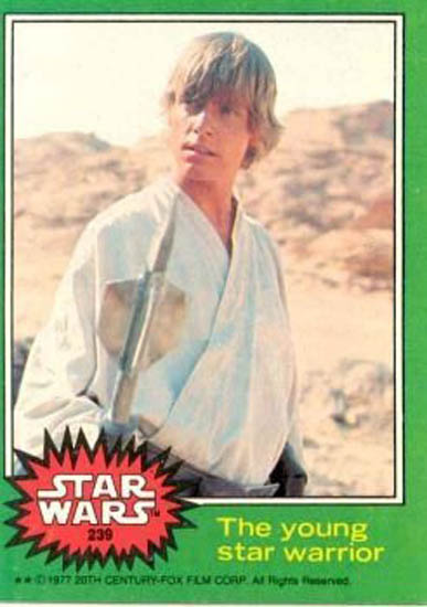 239 The Young Star Warrior