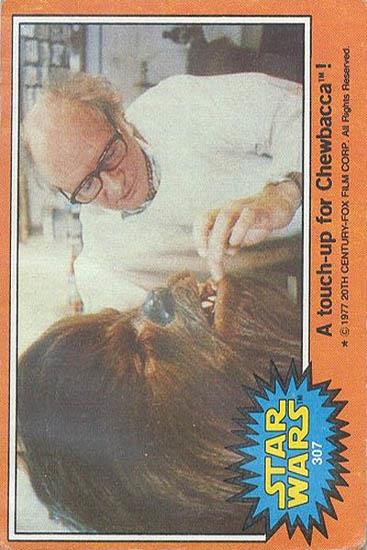 307 A Touch-Up for Chewbacca!