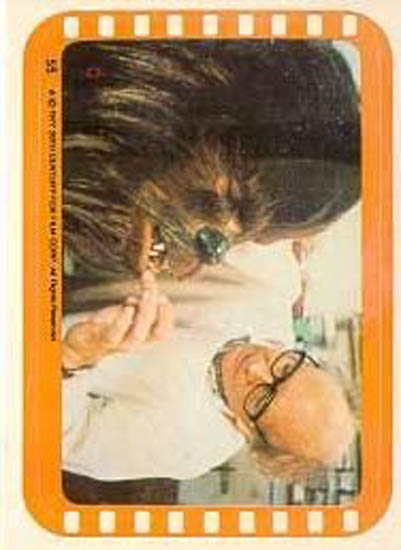 55 A Touch-up For Chewbacca!