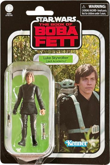 Luke Skywalker (Jedi Academy)