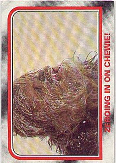 031 Zeroing In On Chewie!