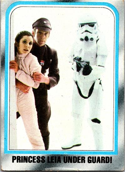 219 Princess Leia Under Guard!