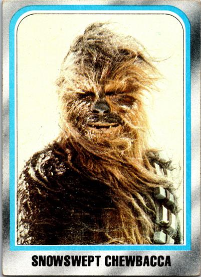 238 Snowswept Chewbacca