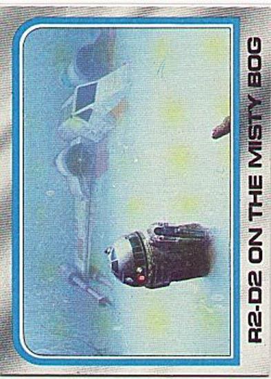 245 R2-D2 on the Misty Bog