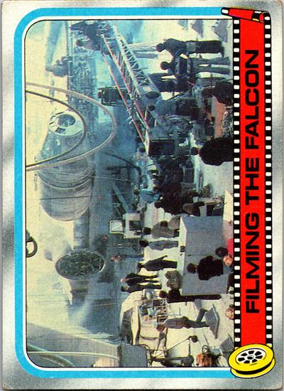 253 Filming the Falcon