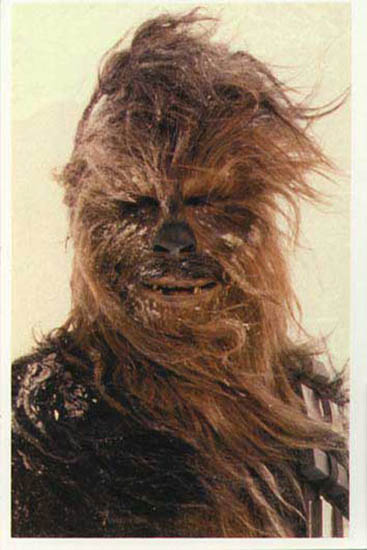 03 Chewbacca