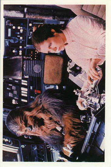 10 Leia and Chewbacca