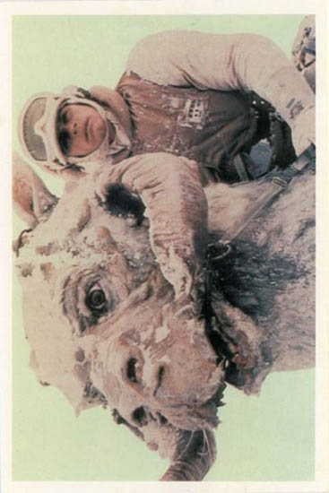 13 Luke on Tauntaun