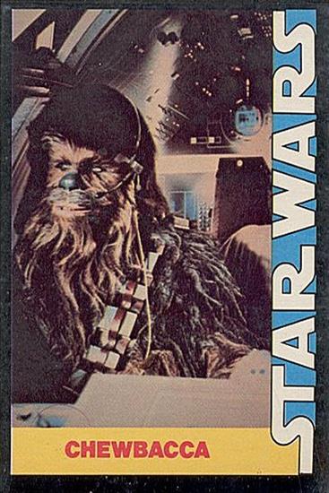 09 Chewbacca