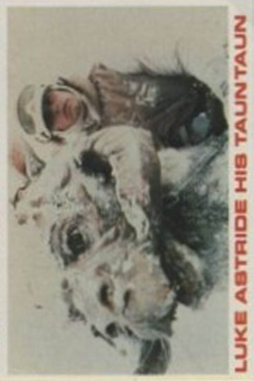 Luke Astride His Tauntaun