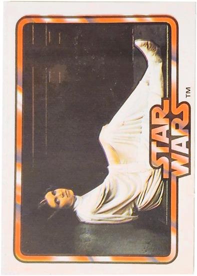 13 Princess Leia