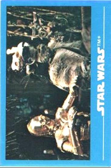 05 C-3PO and an Ewok