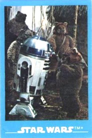 07 R2-D2 and an Ewok