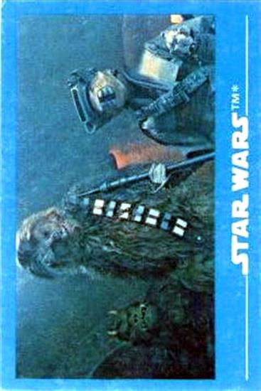 09 Princess Leia as Boushh and Chewie