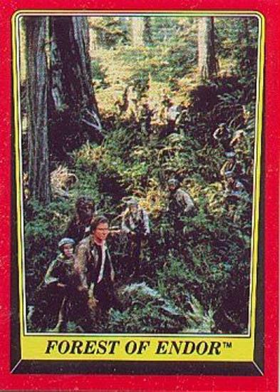 068 Forest of Endor