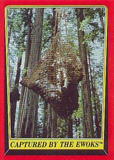 078 Captured by the Ewoks