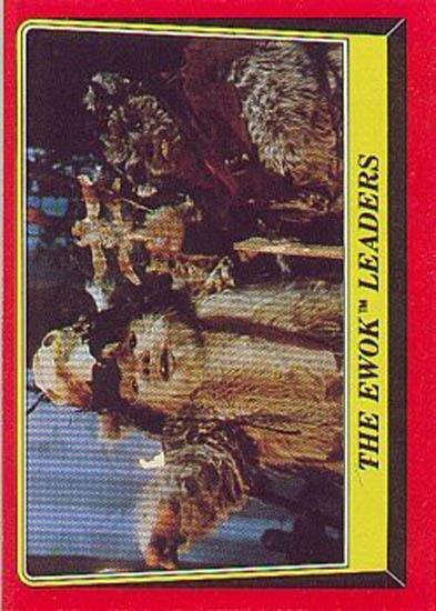084 The Ewok Leaders