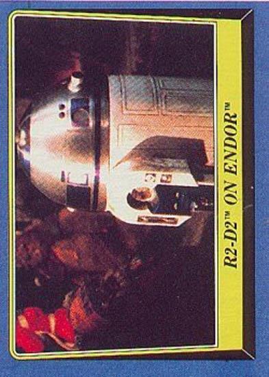 146 R2-D2 on Endor