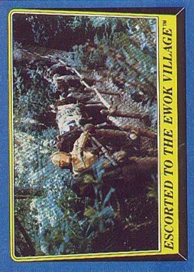 173 Escorted to the Ewok Village