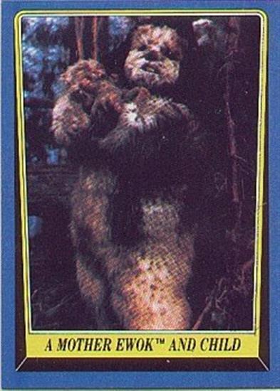 182 A Mother Ewok and Child
