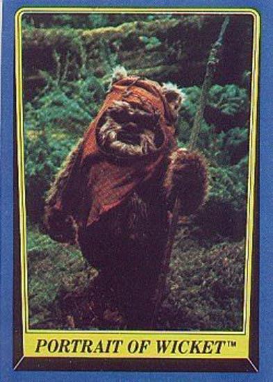 190 Portrait of Wicket