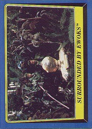 207 Surrounded by Ewoks