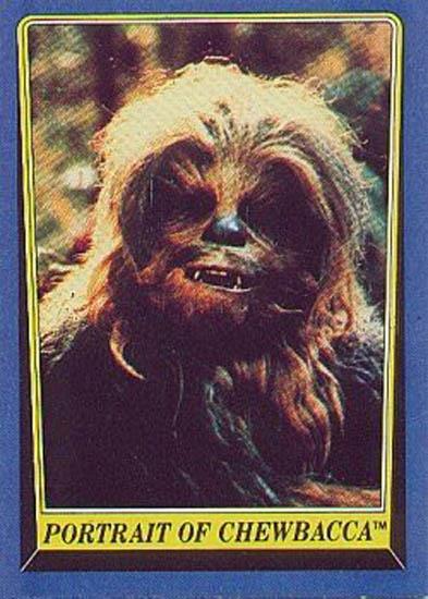 219 Portrait of Chewbacca