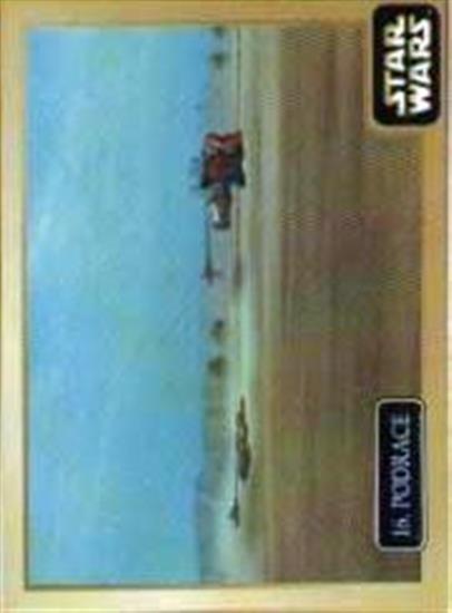 16 Podrace