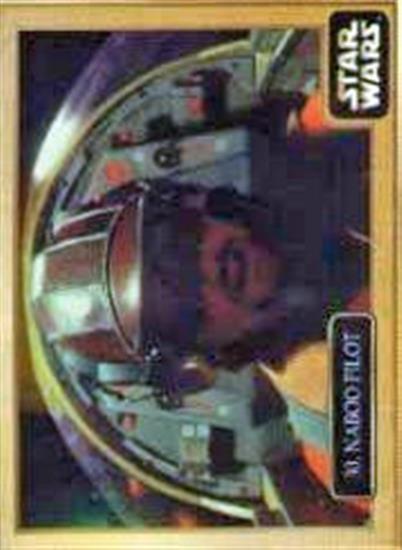 30 Naboo Pilot
