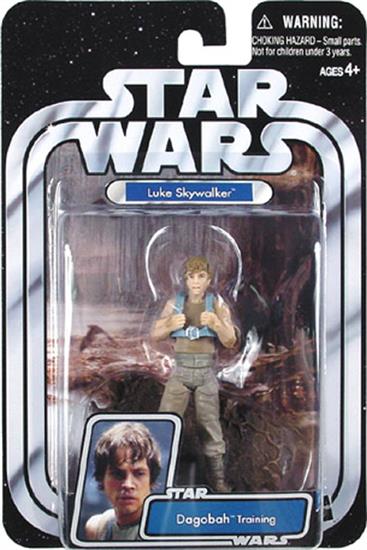 Luke Skywalker, Dagobah Training