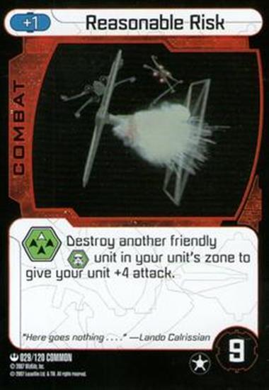 029 Reasonable Risk