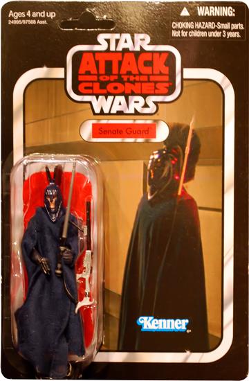 Senate Security Guard