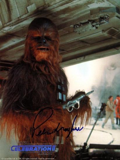 Mayhew, Peter