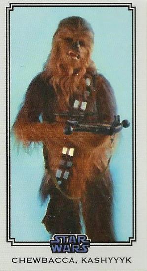 06 Chewbacca, Kashyyyk